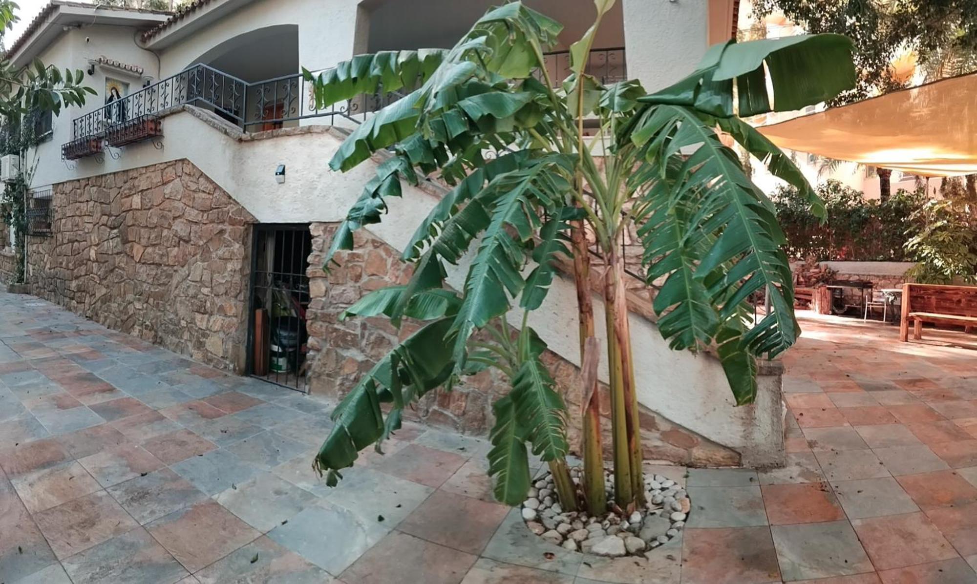 Casa En La Naturaleza En Villa Benidorm